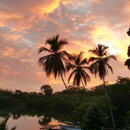 Tierra Oscura Panama Eco Resort المظهر الخارجي الصورة