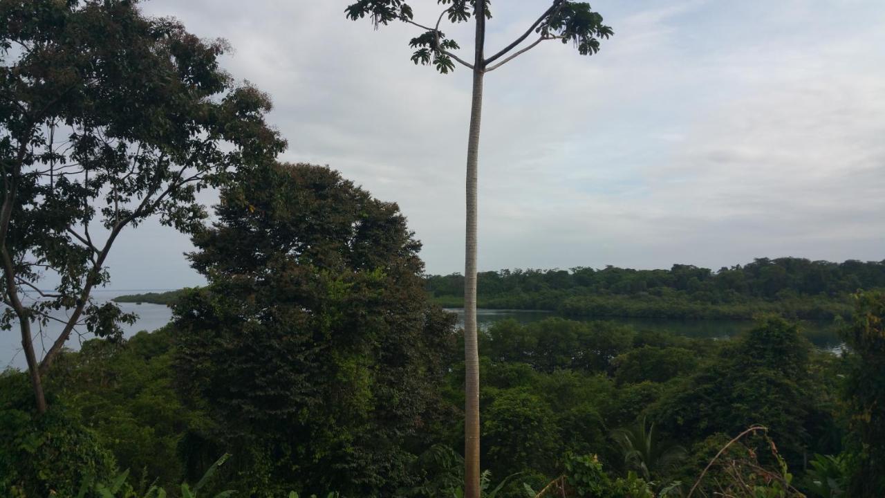 Tierra Oscura Panama Eco Resort المظهر الخارجي الصورة