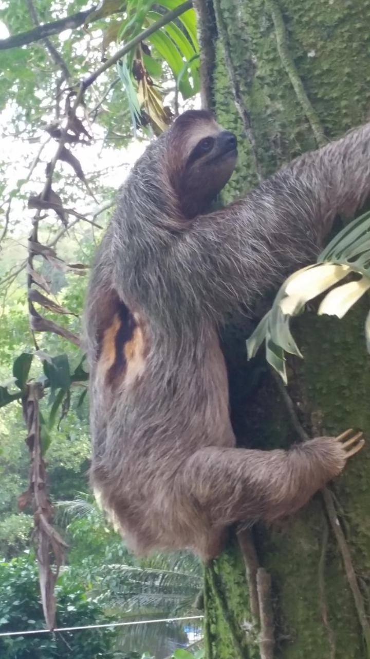 Tierra Oscura Panama Eco Resort المظهر الخارجي الصورة