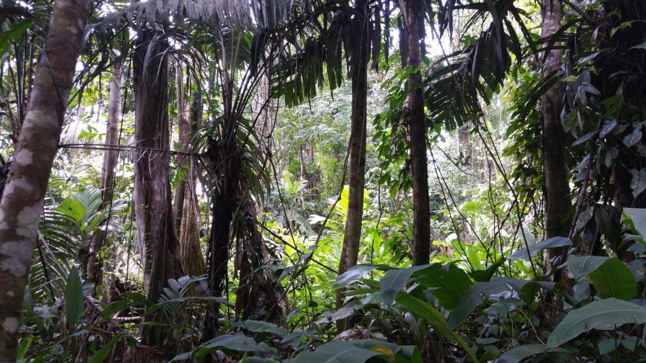 Tierra Oscura Panama Eco Resort المظهر الخارجي الصورة